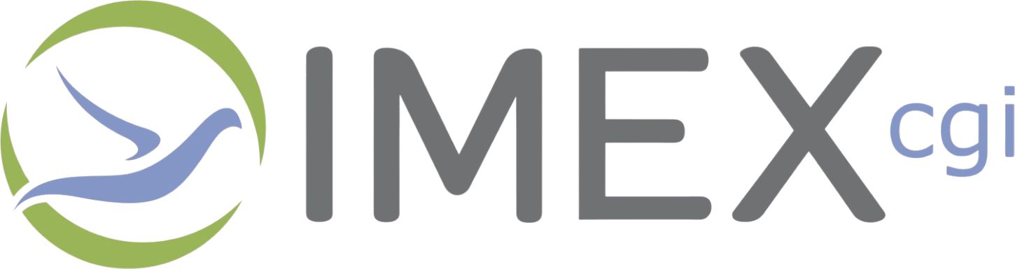 Logo IMEX CGI